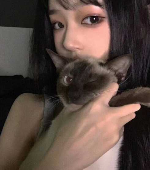 藁城区娇小妹子